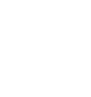 equal housing opportunity rentals