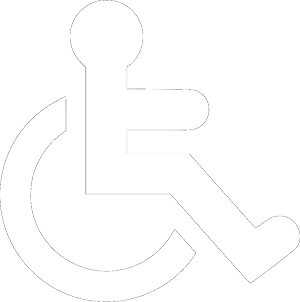handicapped rental homes